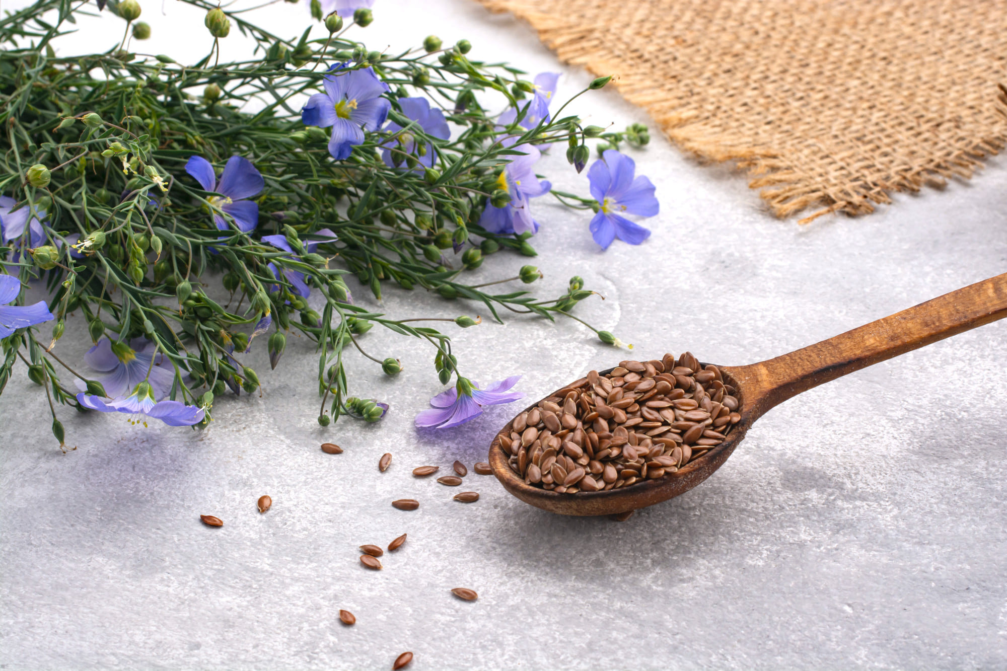 Российские семена льна: серьезный конкурент на международном рынке